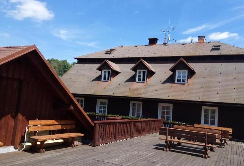 酒店 Pension Samohel