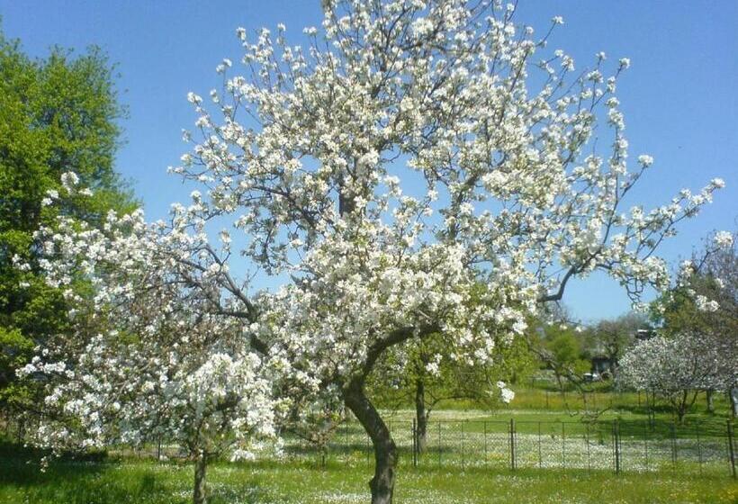 هتل Privat Apartma Ulrych