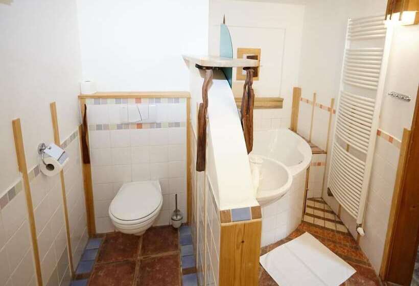 هتل Residence Muzeum Vltavinu