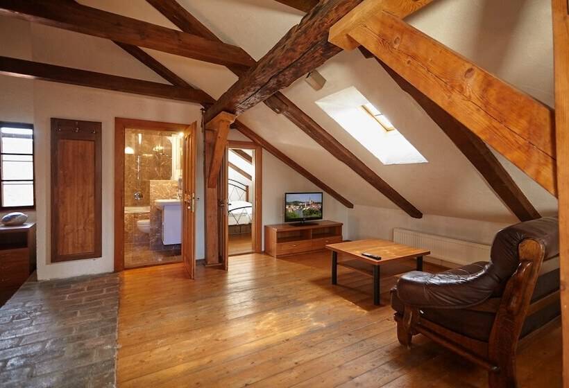 هتل Residence Muzeum Vltavinu