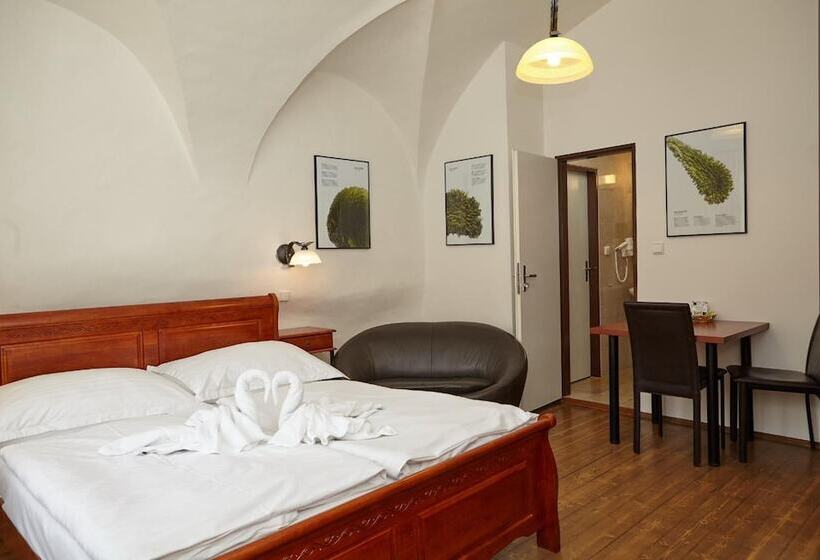 هتل Residence Muzeum Vltavinu