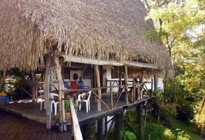 住宿加早餐  Treetops Inn