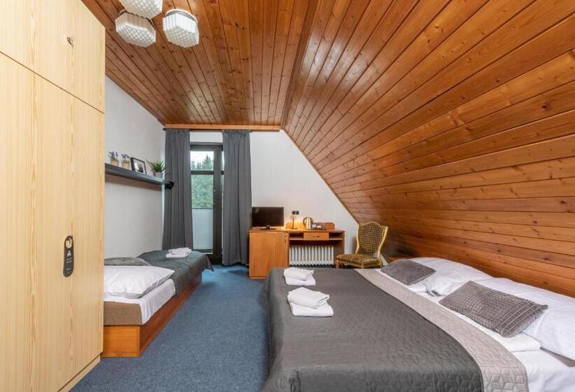 Wellness Hotel šedý Vlk