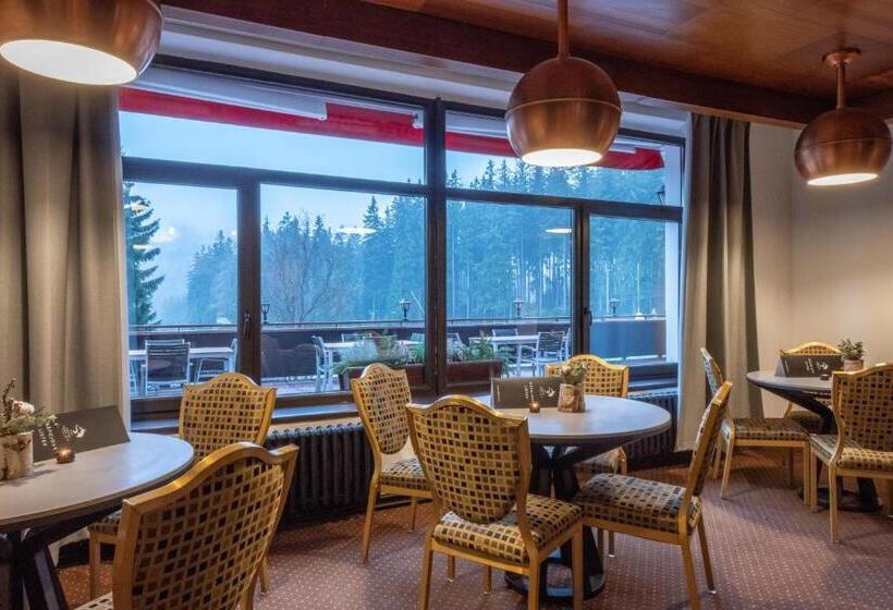 Wellness Hotel šedý Vlk