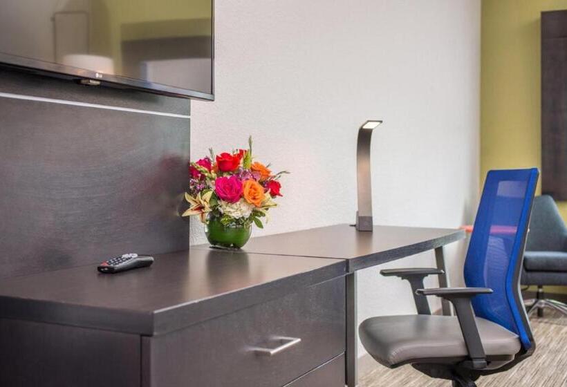 Отель Holiday Inn Express & Suites   Tampa North   Wesley Chapel, An Ihg