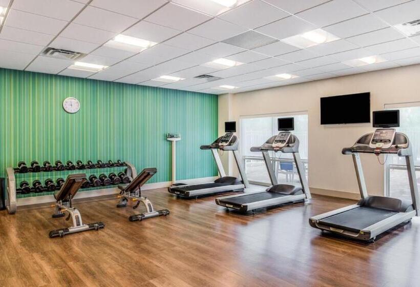 Отель Holiday Inn Express & Suites   Tampa North   Wesley Chapel, An Ihg