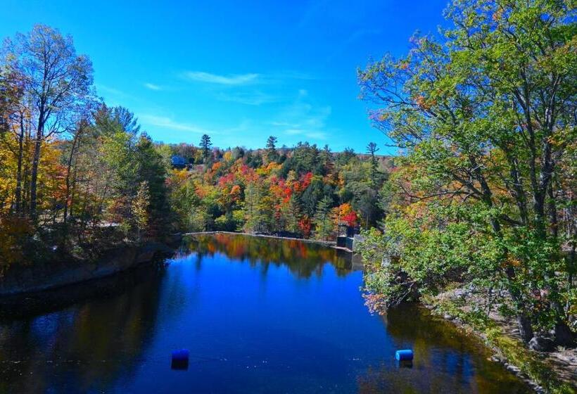 فندق The Lodge At Jackson Village