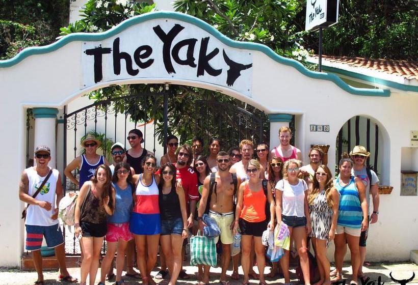 فندق The Yak Hostel