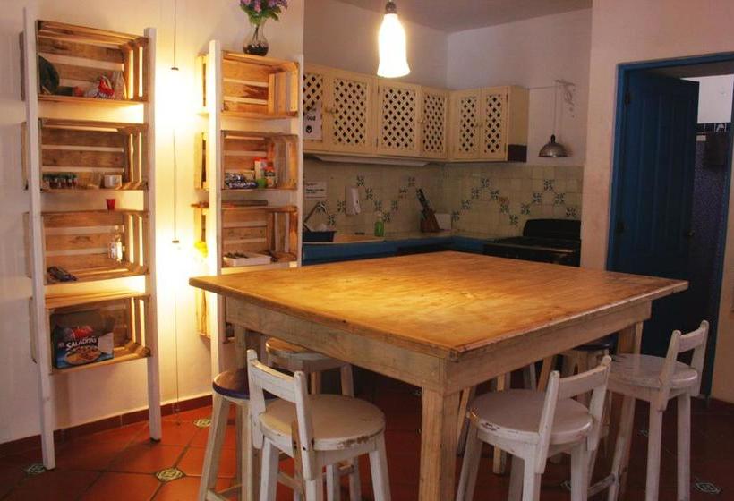 فندق The Yak Hostel