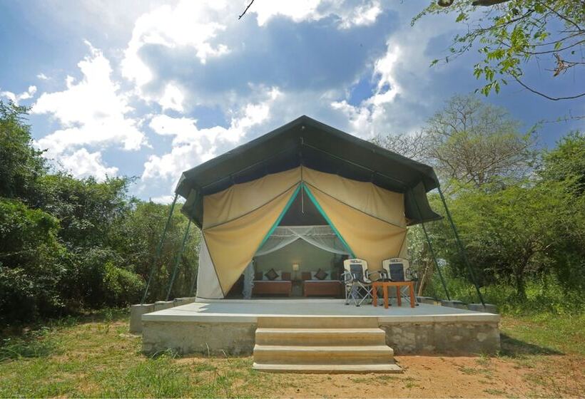 فندق Wilpattu Safari Camp   Campground