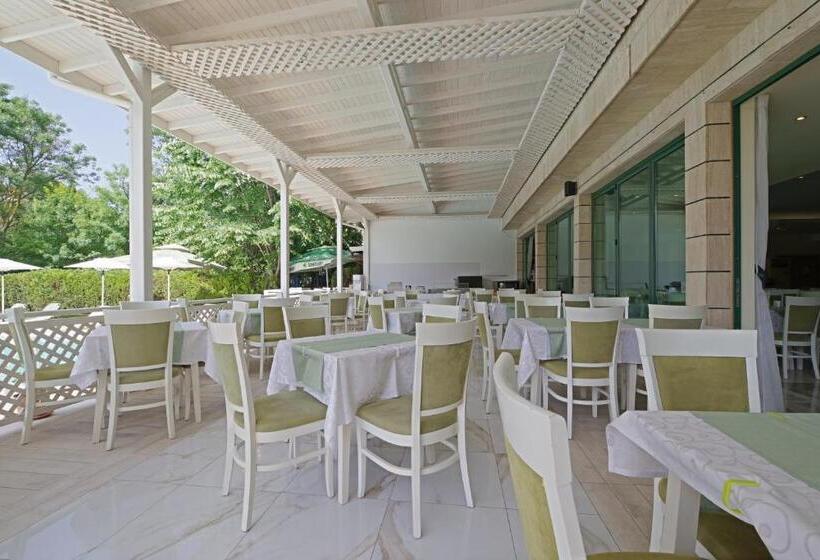 Perla Plaza Hotel   All Inclusive