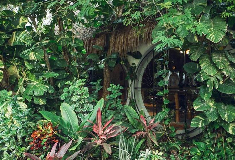 Tubo Tulum Hostel