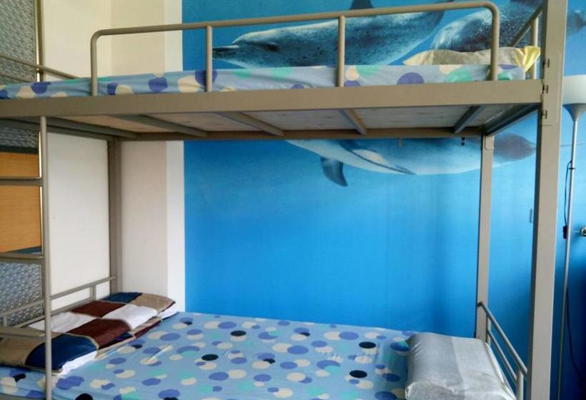 تختخواب و صبحانه Dolphin Castle