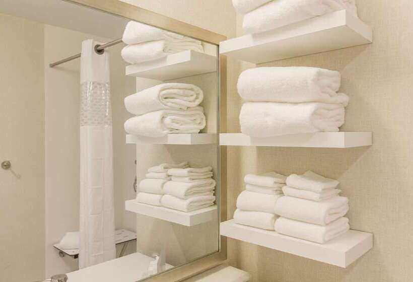 ホテル Hampton Inn & Suites Charlotte/ballantyne