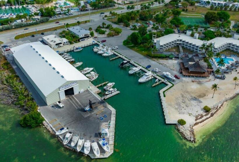 Отель Caloosa Cove Resort