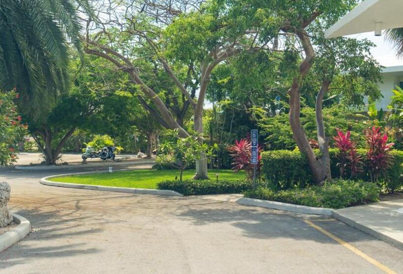 Отель Caloosa Cove Resort