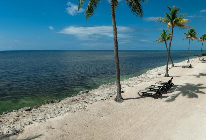 Отель Caloosa Cove Resort