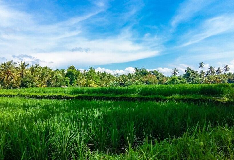 هتل Visesa Ubud Resort