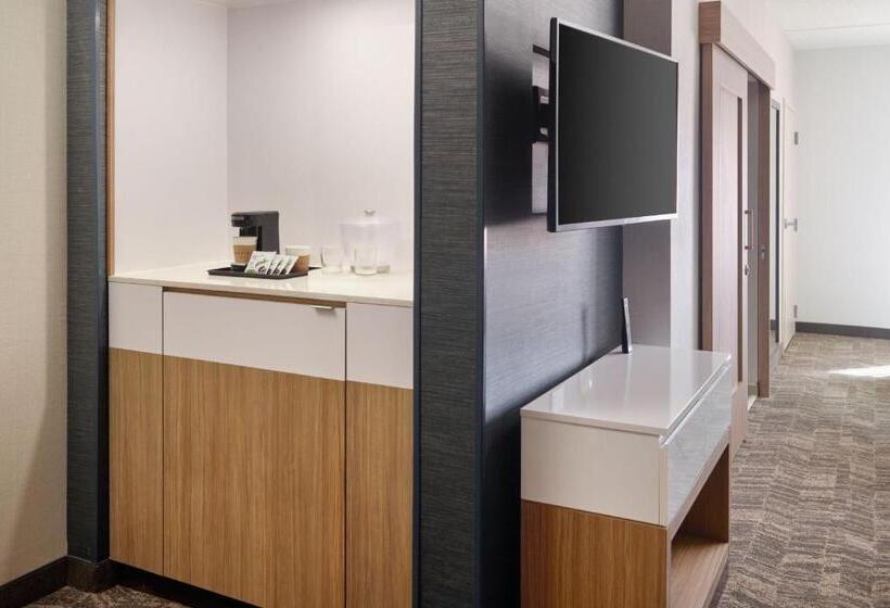 בית מלון כפרי Springhill Suites By Marriott Arlington Tn