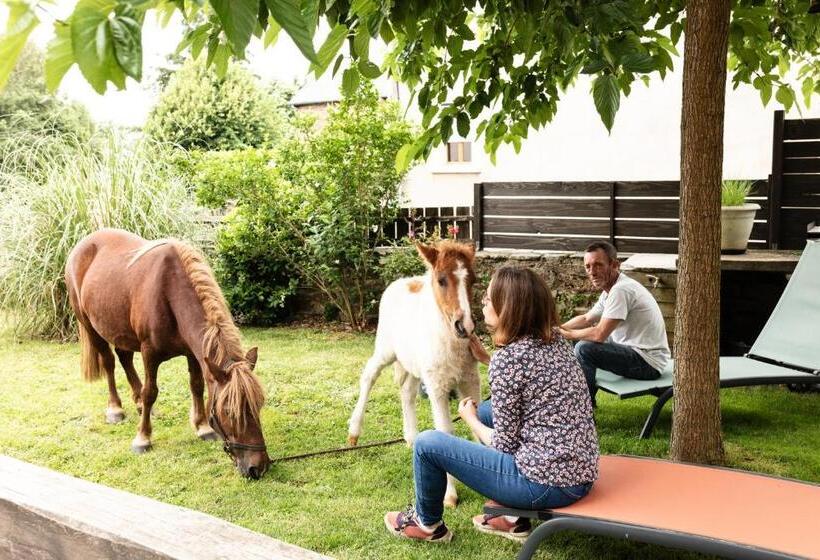 住宿加早餐  Chambres D Hôtes Coeur De Bastié Et Ranch Du Lévézou