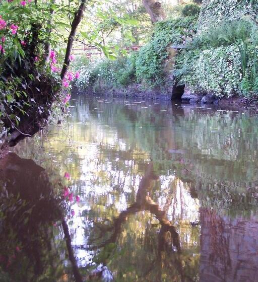 ベッドアンドブレックファースト Le Moulin Du Bignon