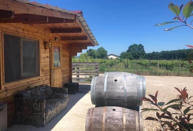 住宿加早餐  Le Sang Des Vignes