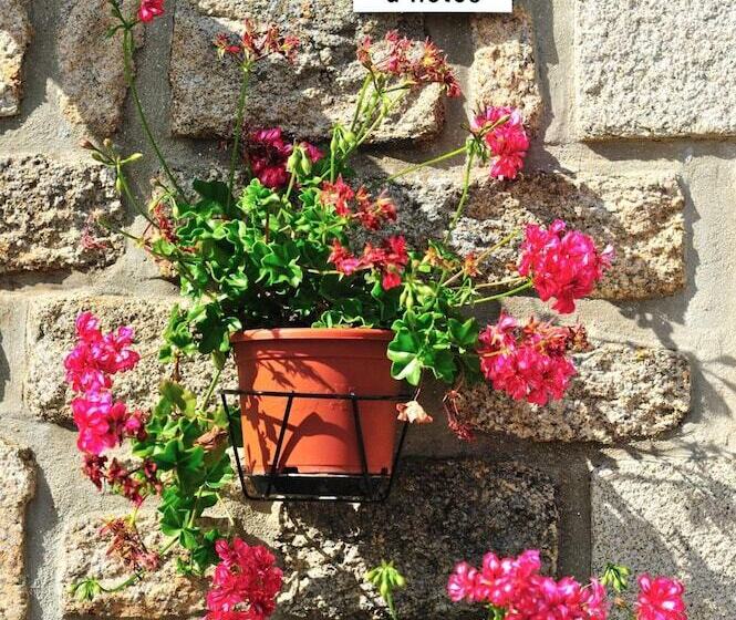 住宿加早餐  Ti Er Mad