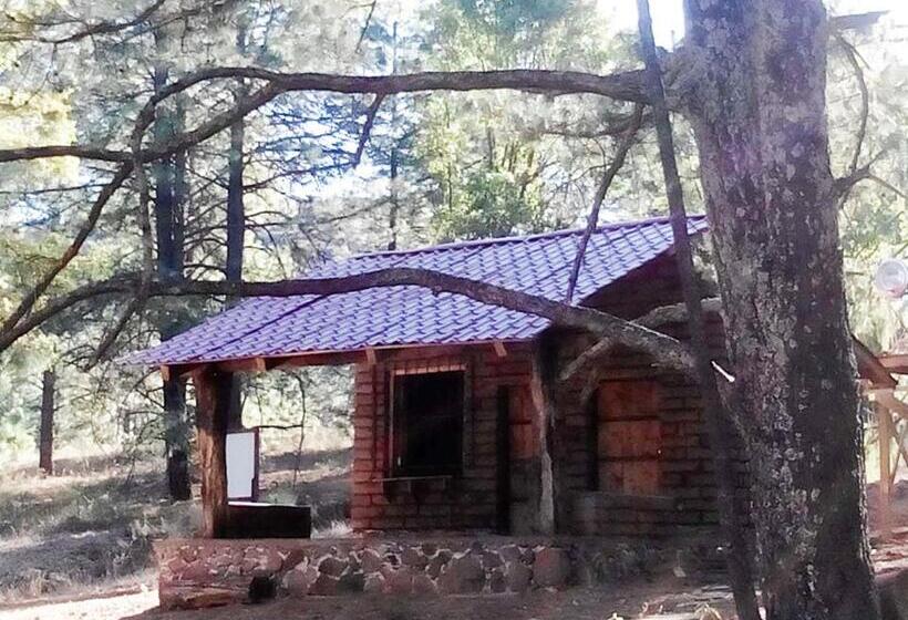 Отель Campamento Plan De Los álamos