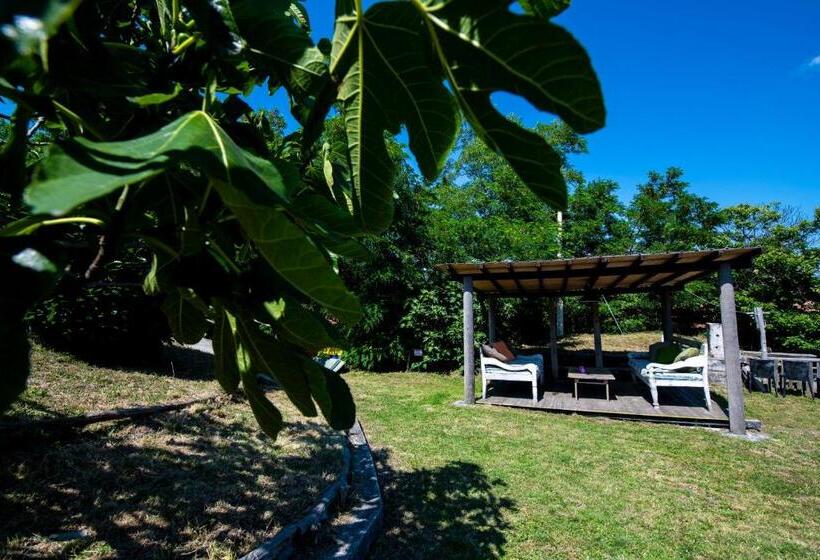 بنسيون 202   Camera Mansardata Tra Le Cinque Terre E Portofino   Residence Cherry House