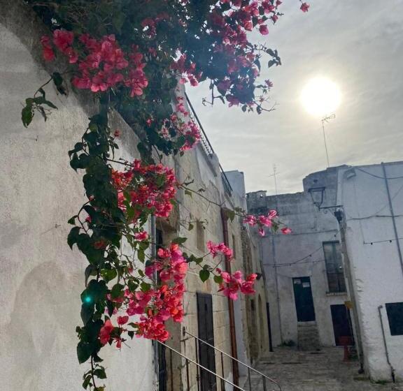 پانسیون B&b Suite Caniglia