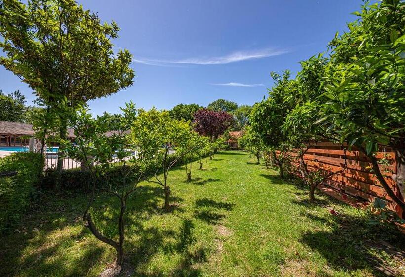 فندق Sebastiano Resort