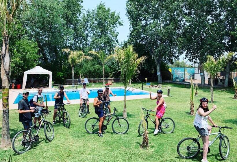 Lemon Tree Hostel