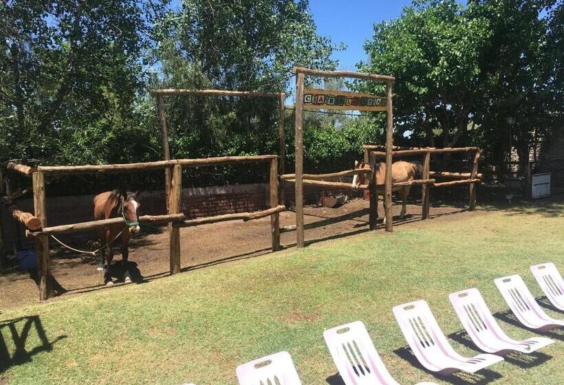 Lemon Tree Hostel