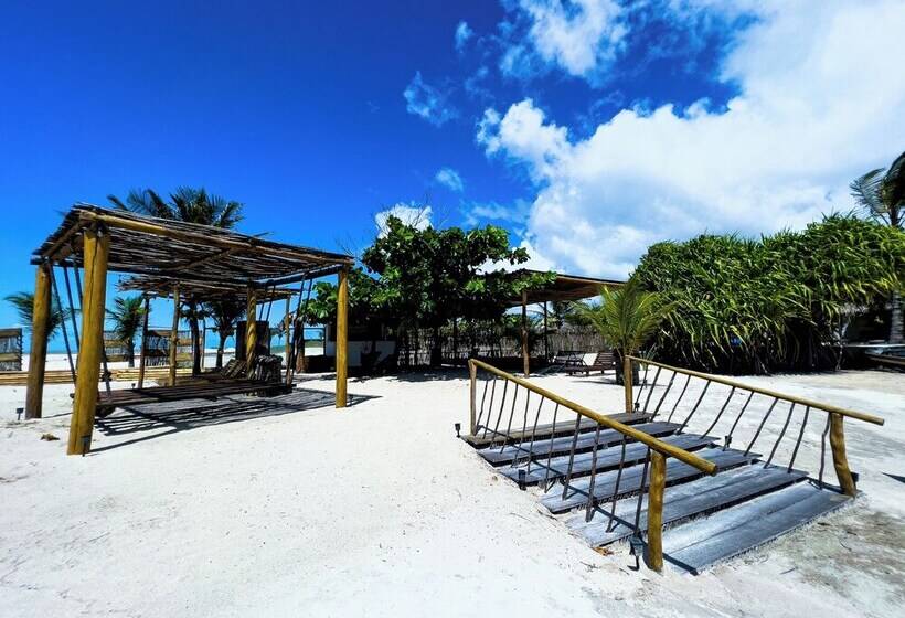 فندق Pousada Luna   D3 Experience