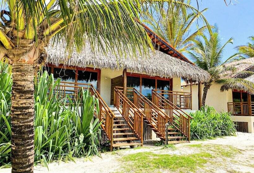 فندق Pousada Luna   D3 Experience