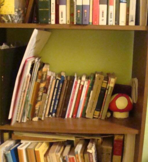 هاستل Intiaconcagua Habitaciones Familiares