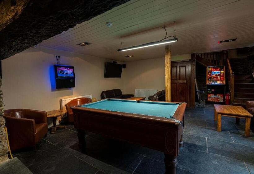 簡易ホテル Grapes Hotel, Bar & Restaurant Snowdonia Nr Zip World