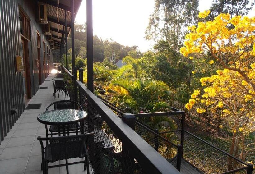 酒店 Daintree Wild Bed & Breakfast