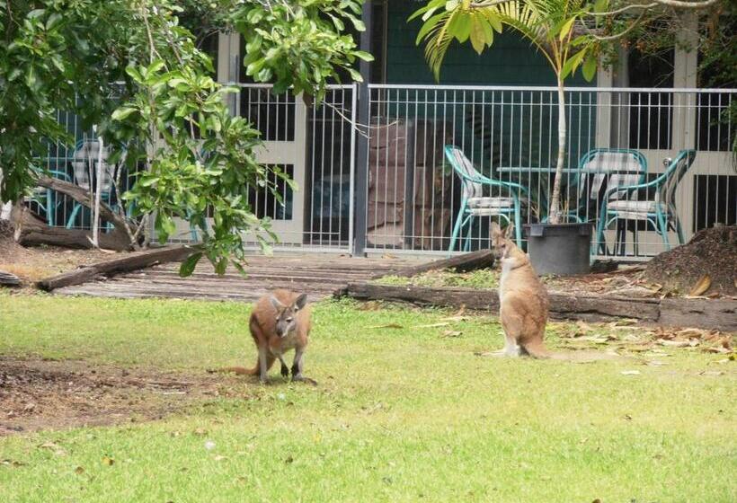 酒店 Daintree Wild Bed & Breakfast