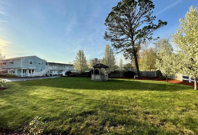 هتل The Escape Inn