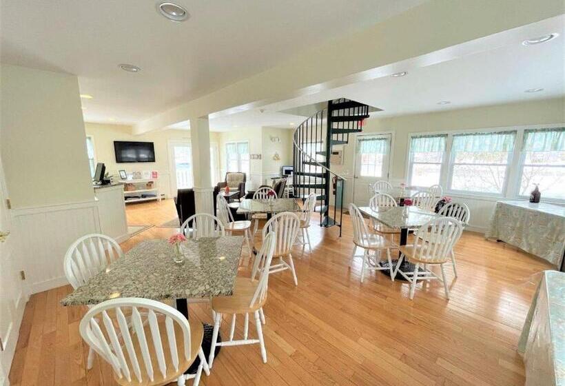 هتل The Escape Inn