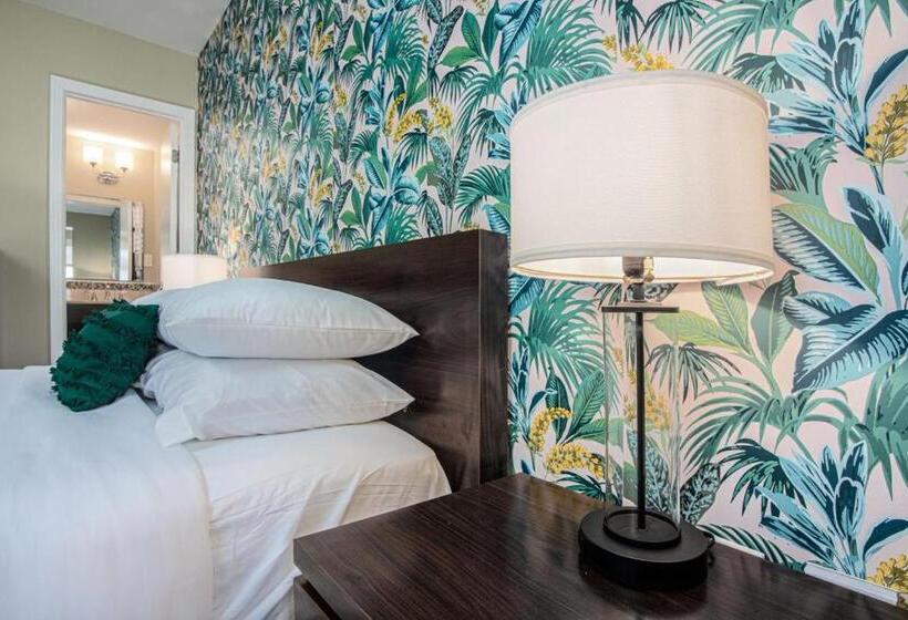 Мотель The Local   St. Augustine