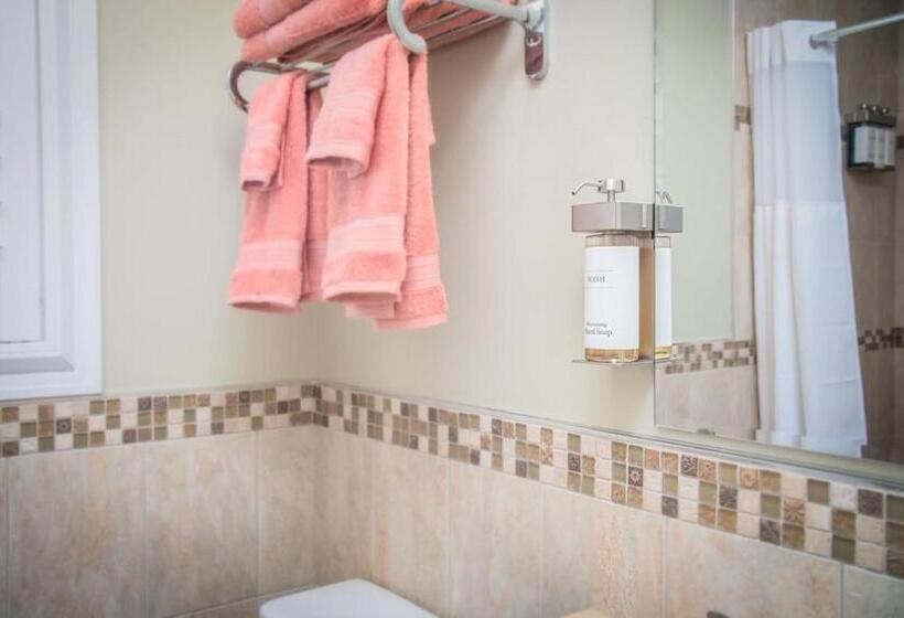 Мотель The Local   St. Augustine