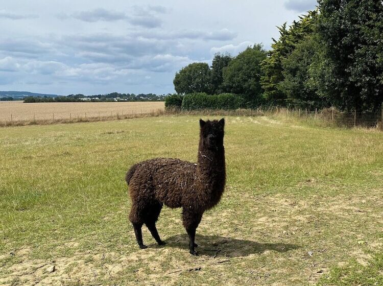 膳宿费 Le Clos Luly