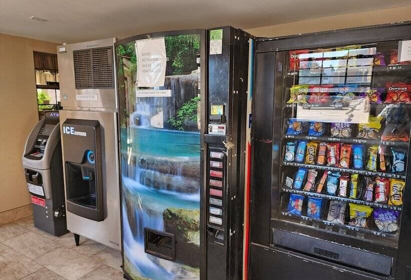 فندق Executive Inn