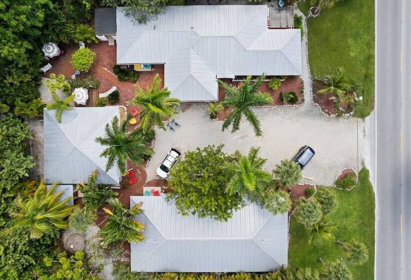 Отель The Palmview And Sandpiper Inns