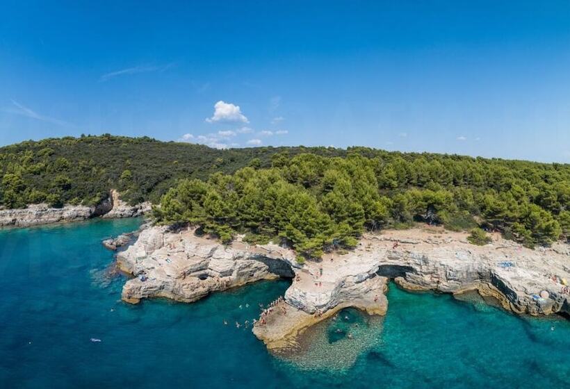 פנסיון Ul. Dinka Trinajstića 10