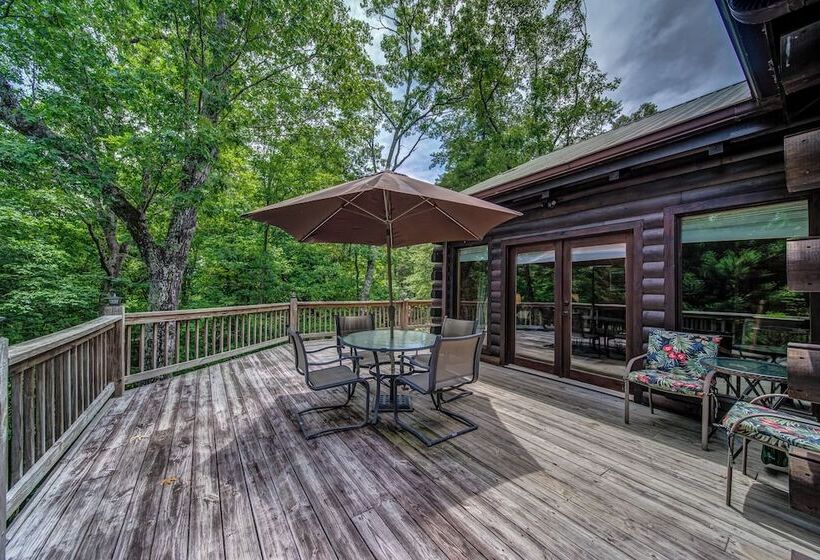 Treetop Oasis