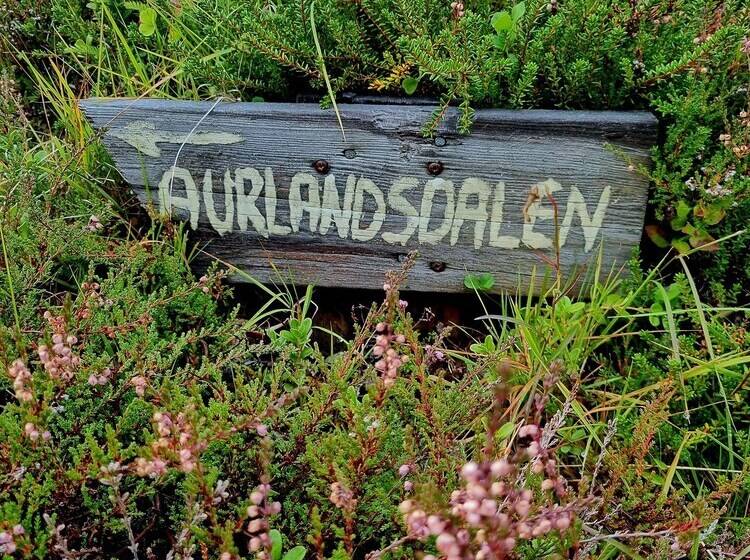 ベッドアンドブレックファースト østerbø Fjellstove