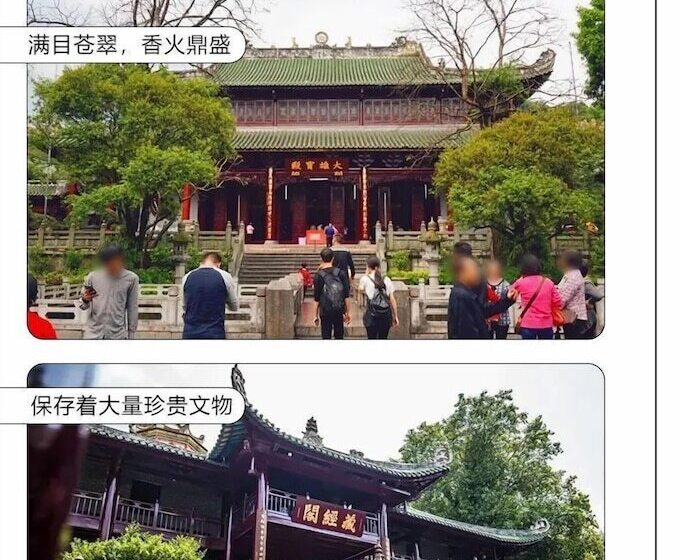 ホテル Blossom Garden Resort